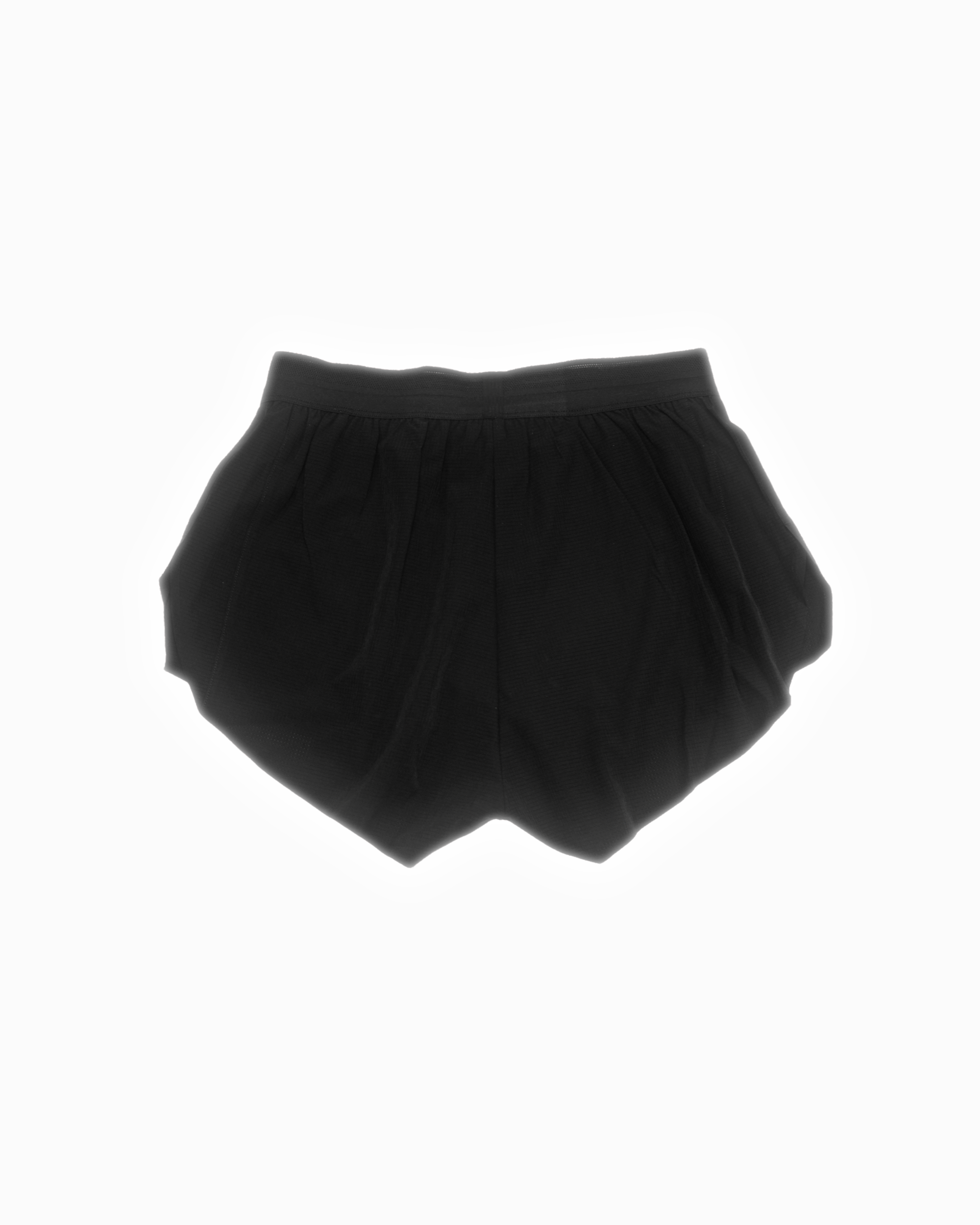 black-back