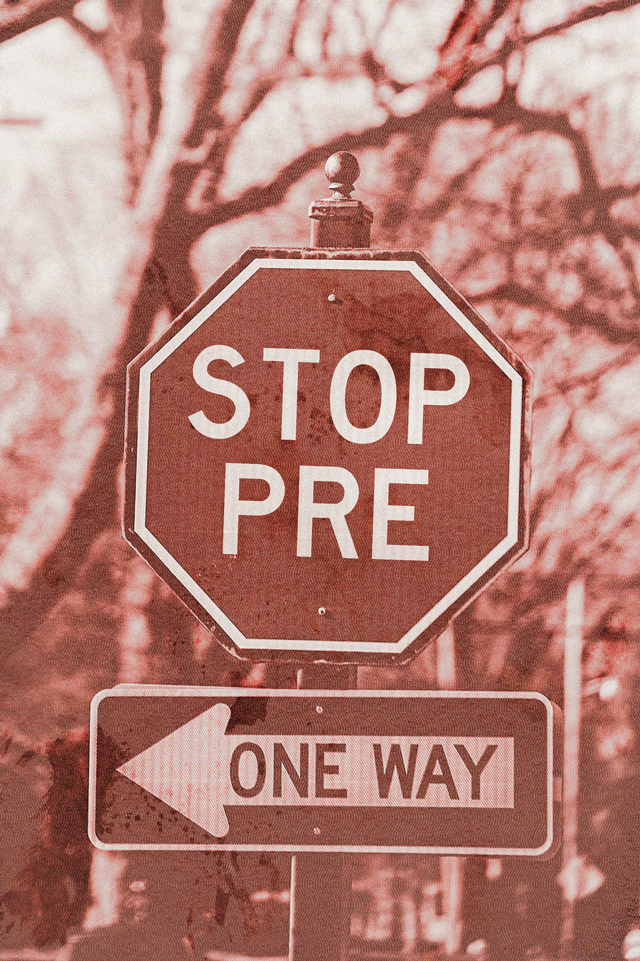 red-upclose Stop Pre Poster - Steve Prefontaine Art closeup detail on semi-gloss paper