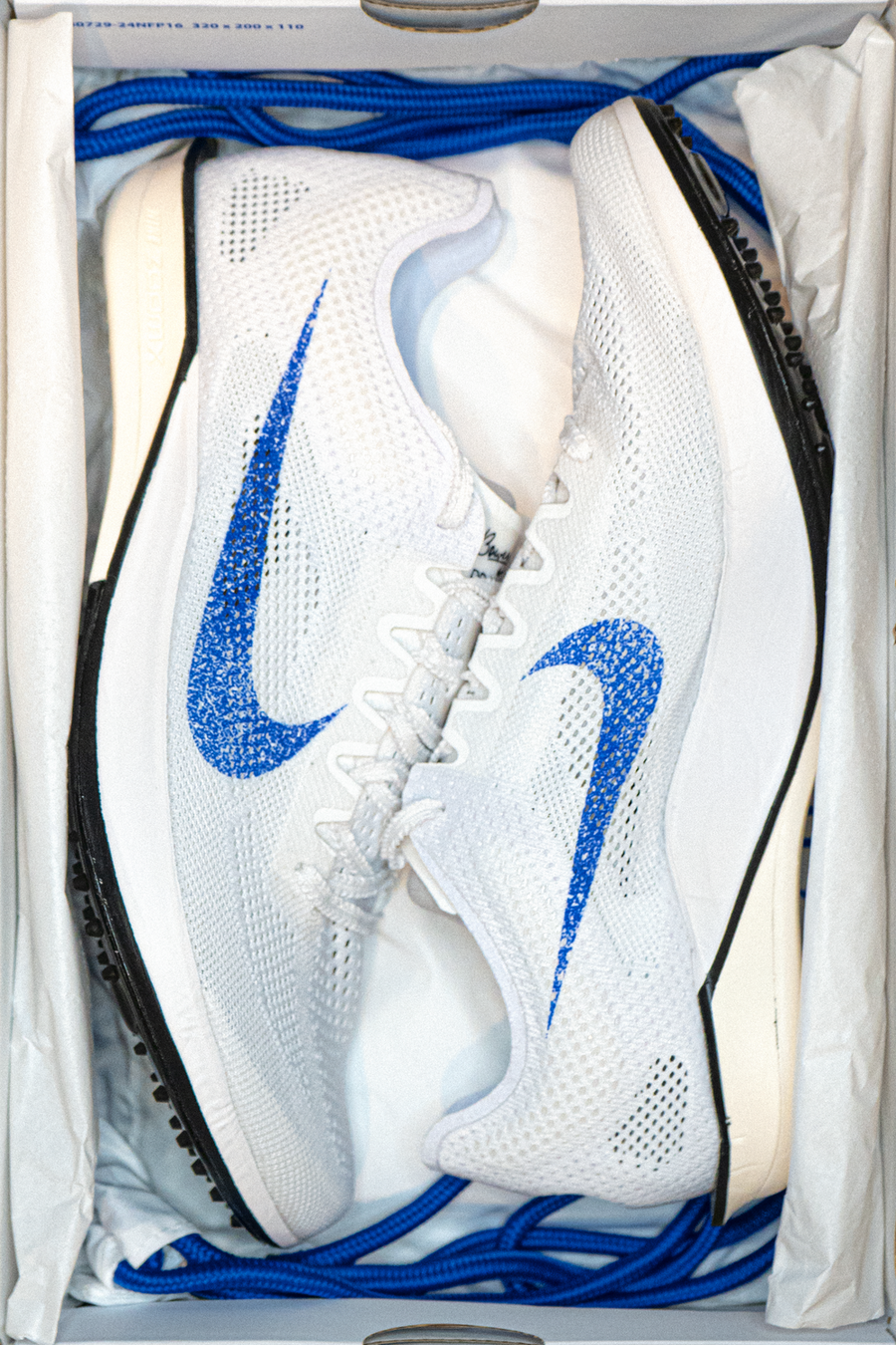 blue-upclose
