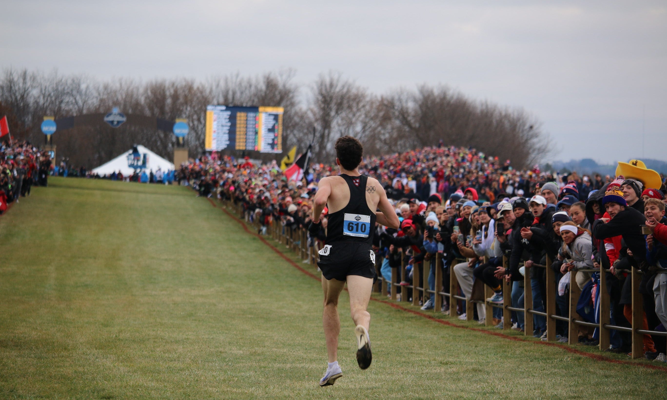 Runner finishing a cross country race along a crowd-lined course