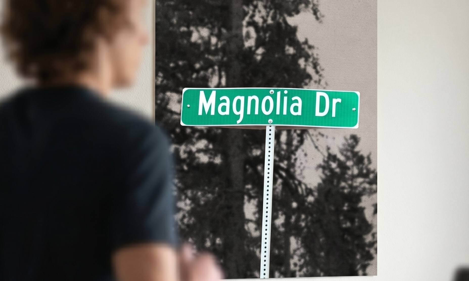Magnolia Road poster on a wall - altitude training wall art for marathoners