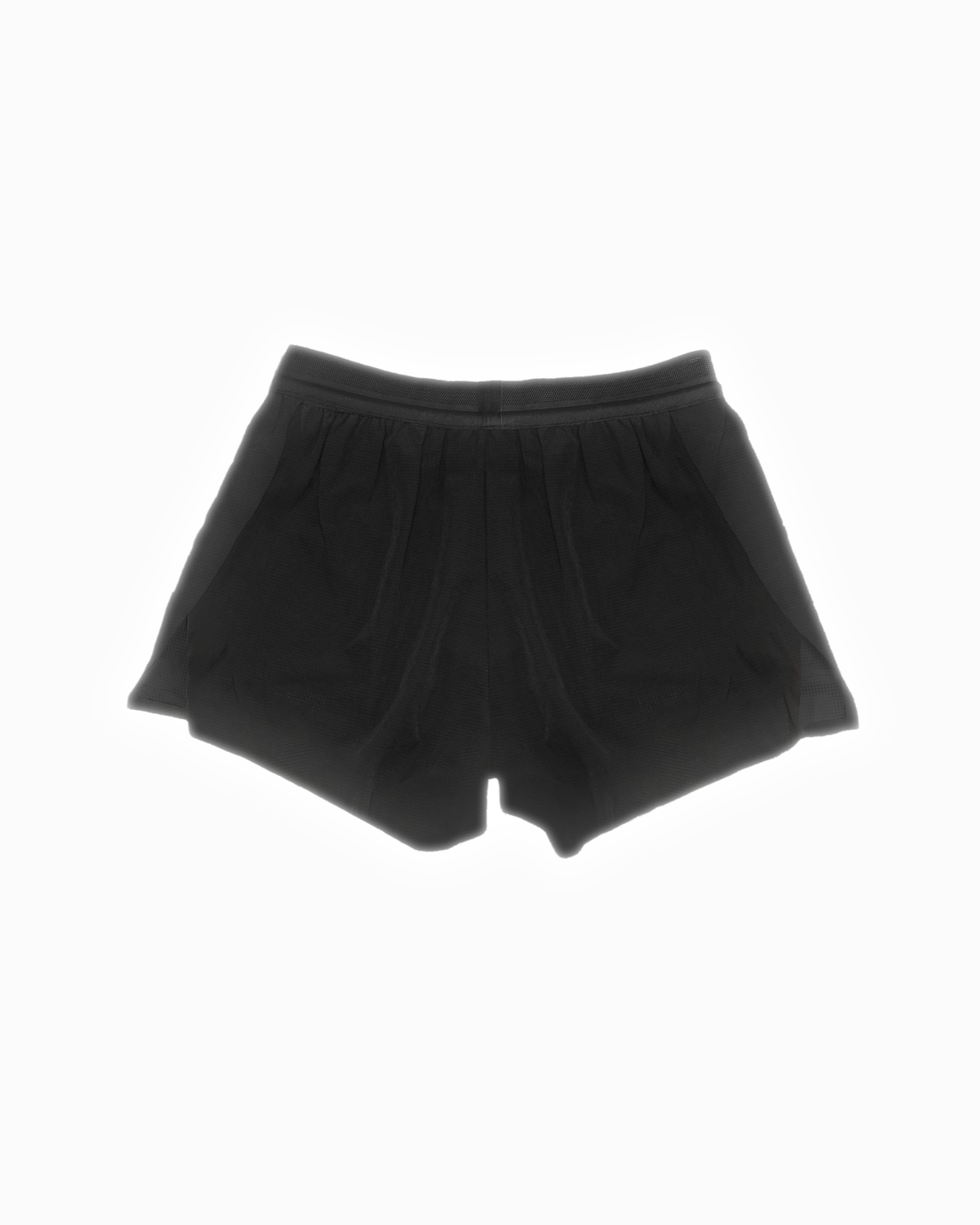 black-back