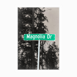 Magnolia Dr