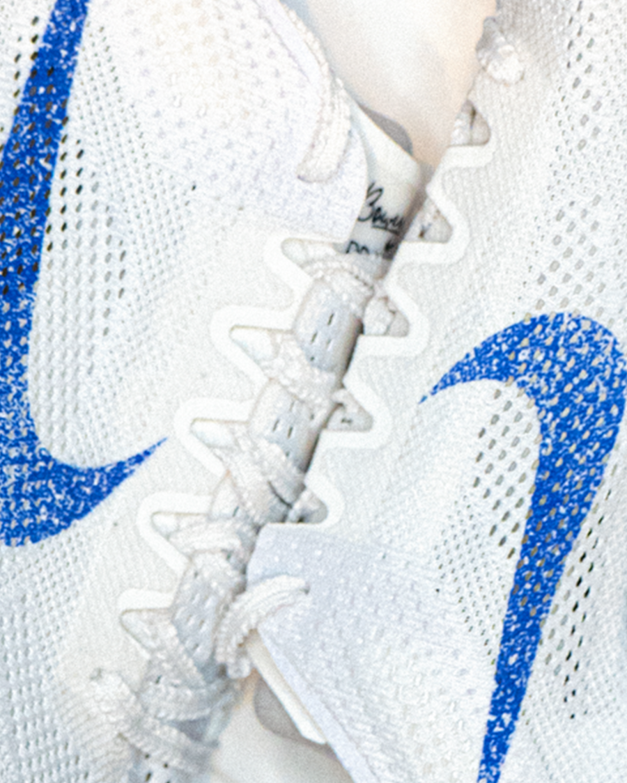 Dragonfly 2 Poster - Blue