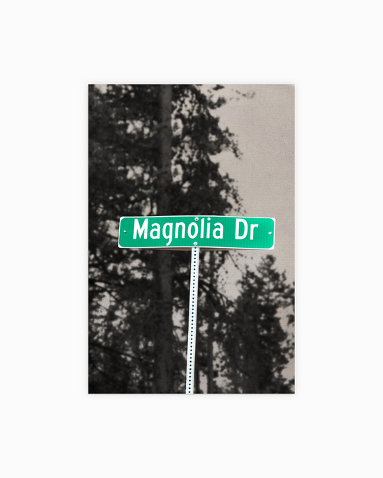 Magnolia Dr Poster