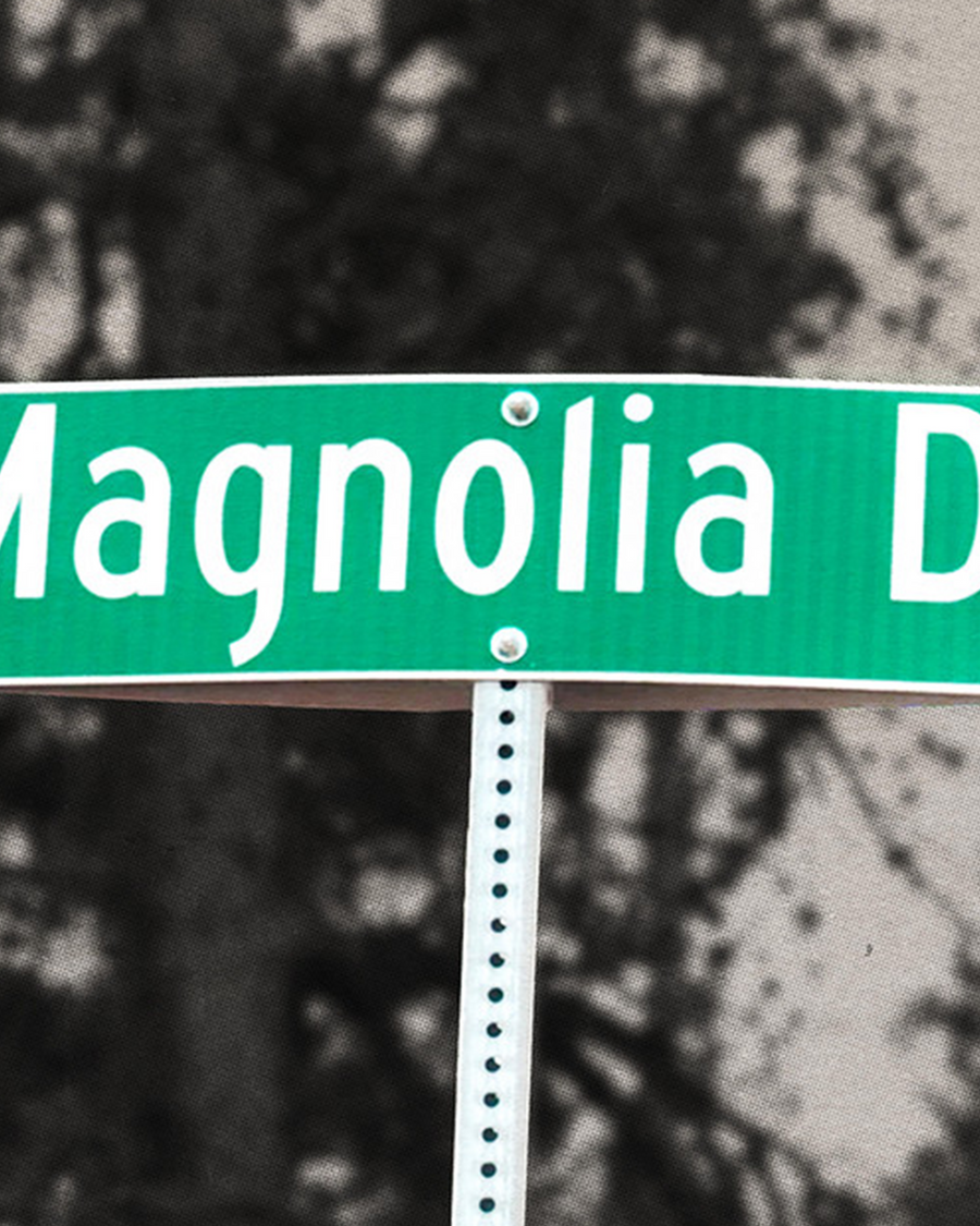 pine-green-2 Magnolia Road Poster - Altitude Running Art alternate view, running wall art
