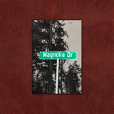 Magnolia Dr