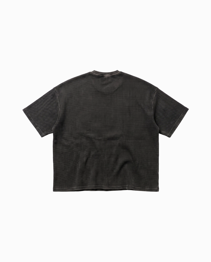 black-back