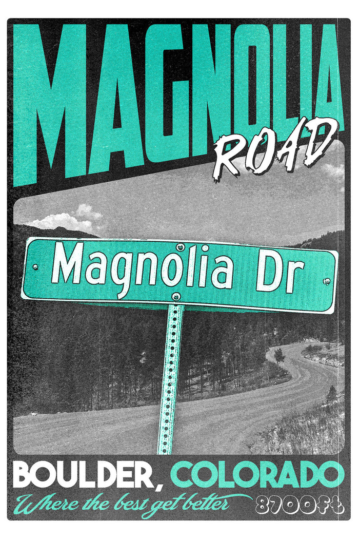Magnolia Drive AD Poster