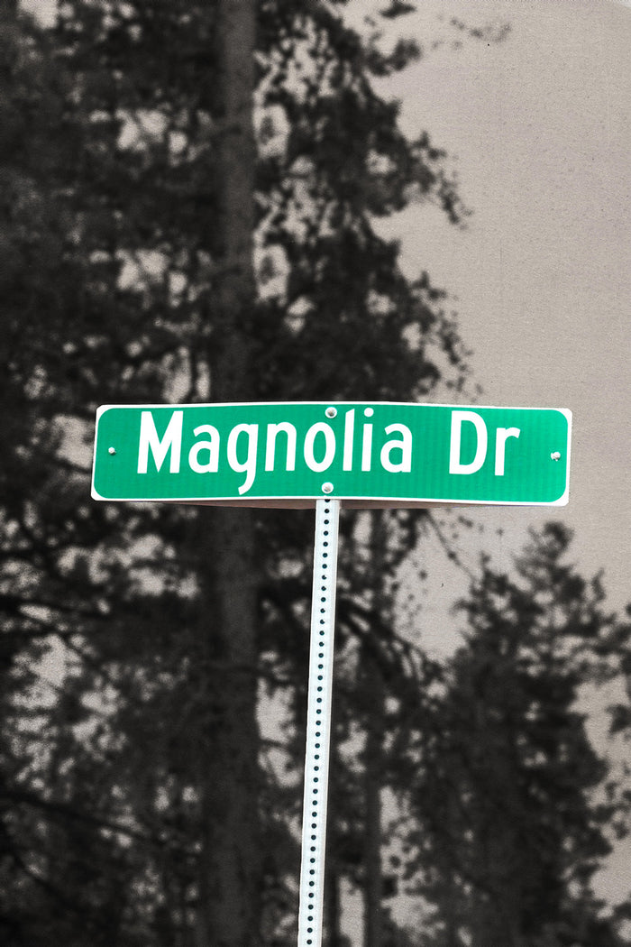 Magnolia Dr Poster