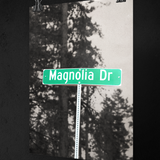 Magnolia Dr